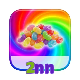 2nn